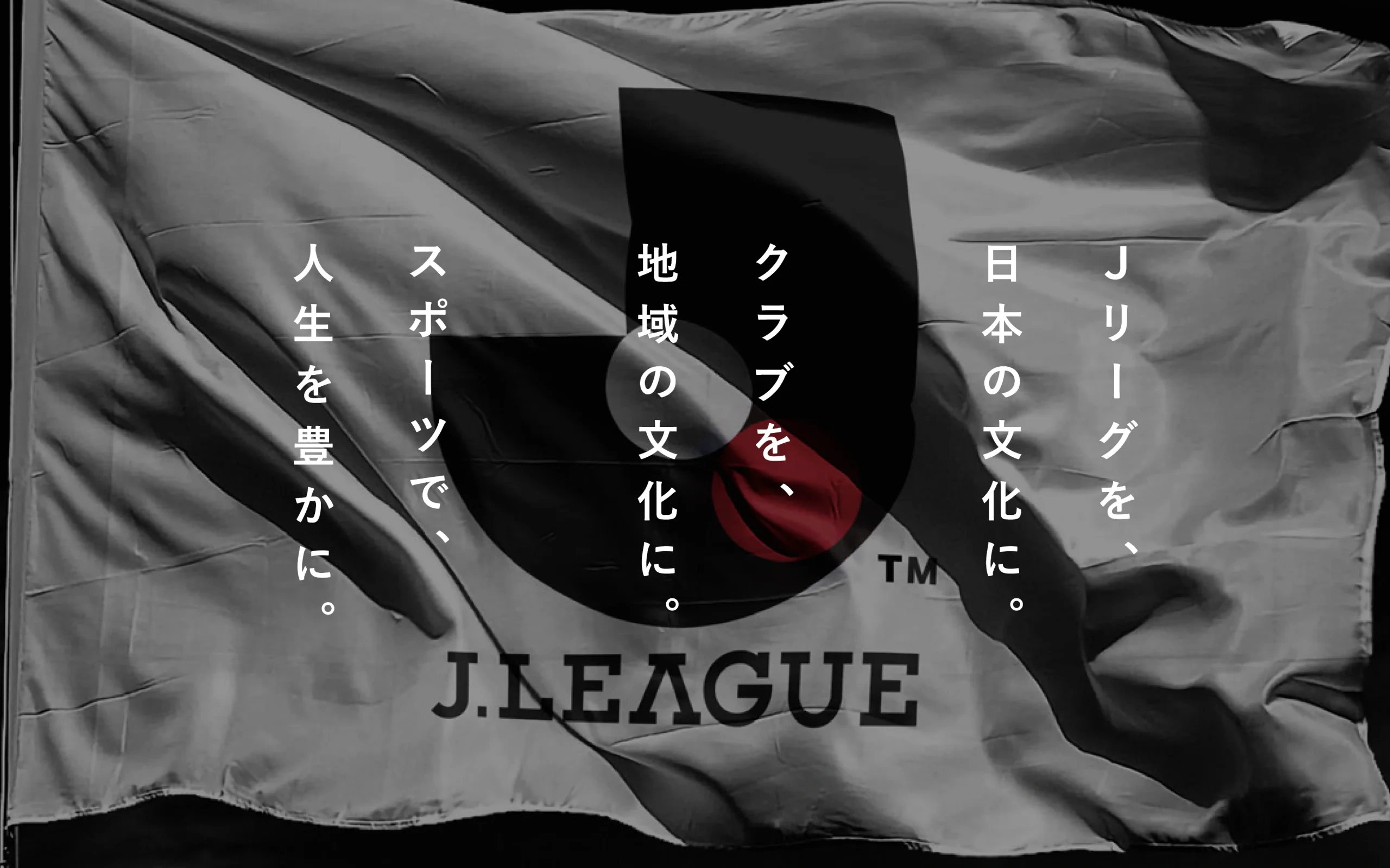 J LEAGUE Customer Strategy